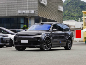 Li L9 Top 2025 - 8 | kz.bex-auto.com