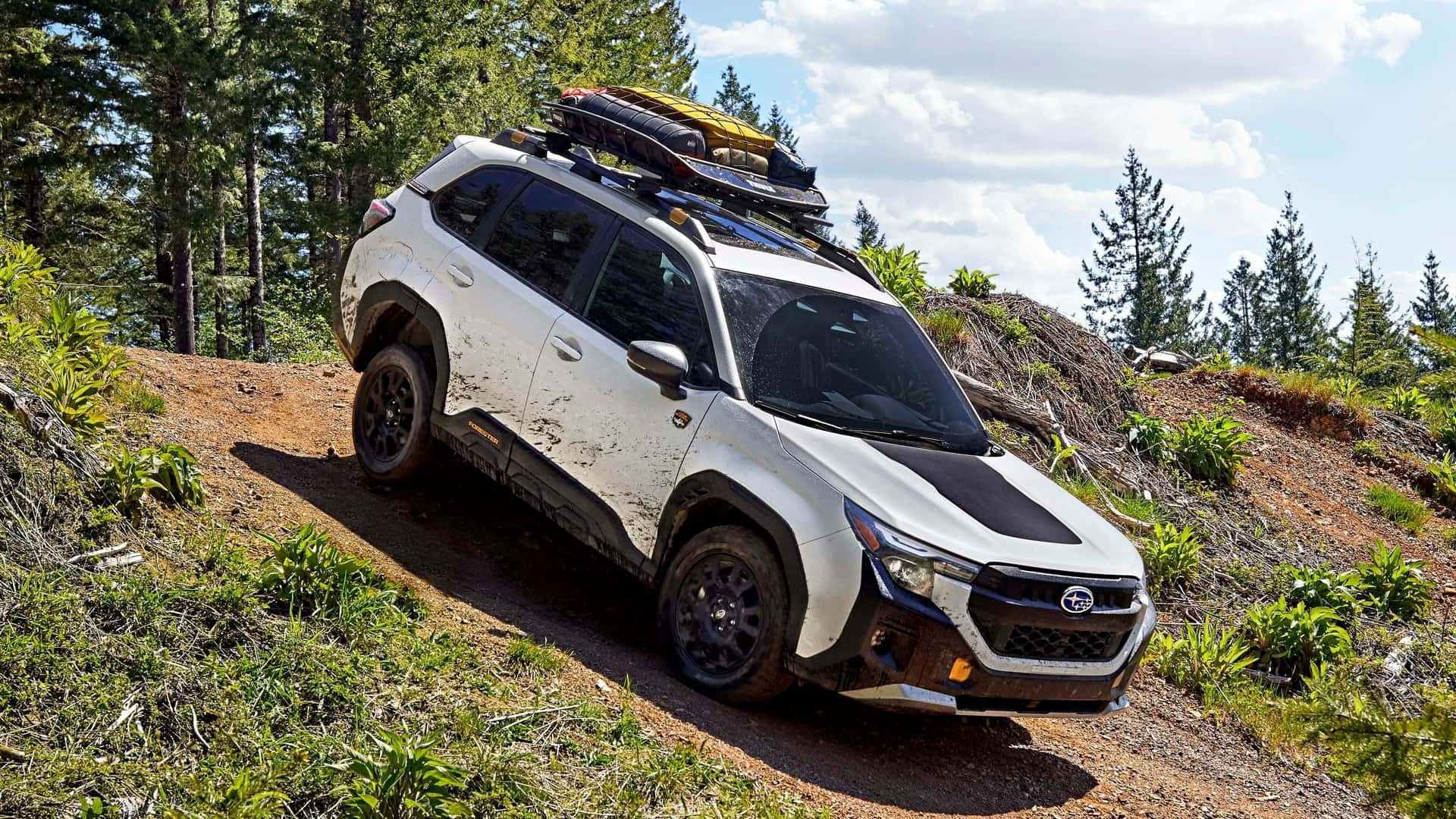 Subaru Forester Wilderness 2025: создан для приключений на бездорожье!