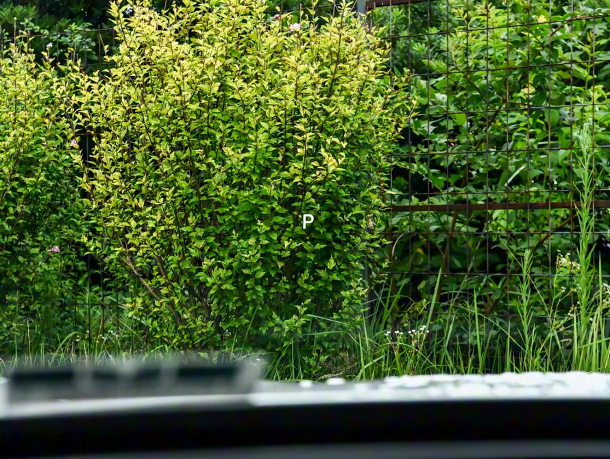 Voyah Free Top 2025 - 27 Voyah Free Top 2025 - 27 | kz.bex-auto.com